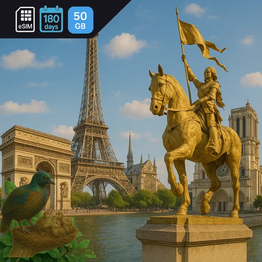 France 50GB 180Days