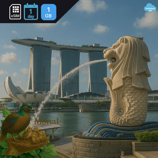 Singapore 1GB/Day FUP1Mbps (nonhkip) Unlimited