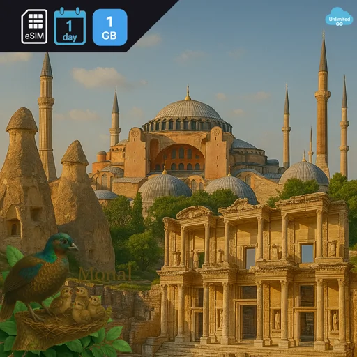 Turkey 1GB/Day FUP1Mbps Premium Unlimited