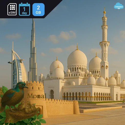 United Arab Emirates 2GB/Day