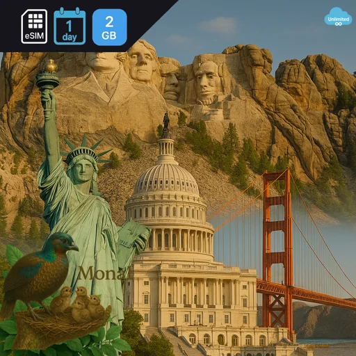 United States 2GB/Day FUP1Mbps