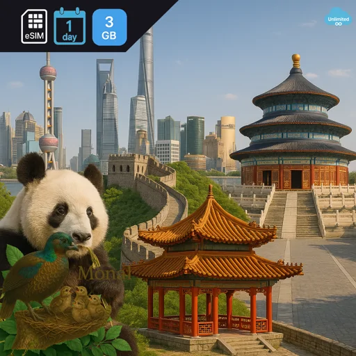 China 3GB/Day FUP1Mbps (nonhkip) Unlimited