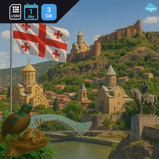 Georgia 3GB/Day FUP1Mbps Unlimited