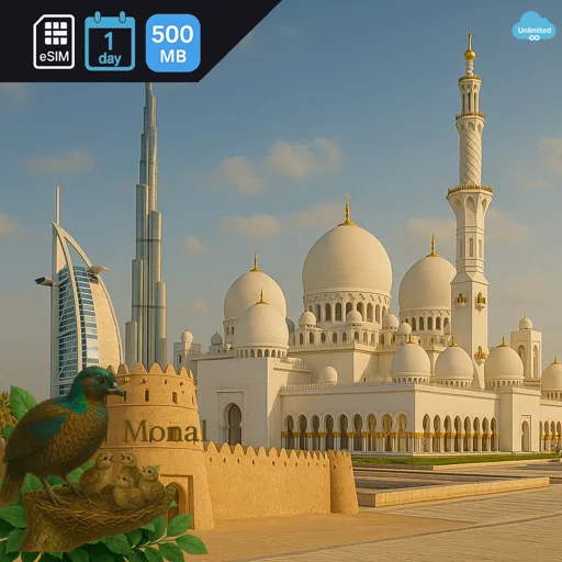 United Arab Emirates 500MB/Day