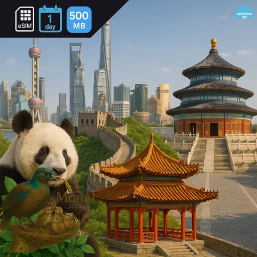 China 500MB/Day