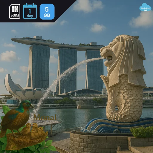 Singapore 5GB/Day Unlimited