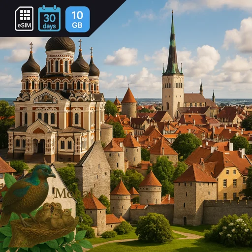 Estonia 10GB 30Days