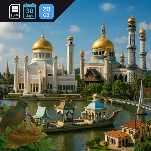 Brunei Darussalam 20GB 30Days