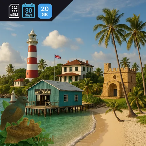 Democratic Republic of the Congo 20GB 30Days