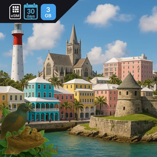 Bermuda 3GB 30Days