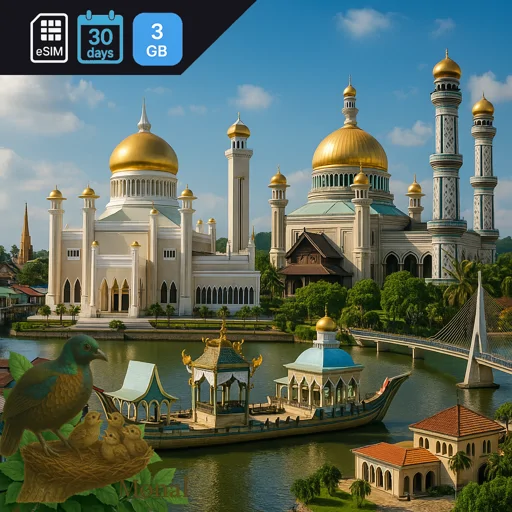 Brunei Darussalam 3GB 30Days