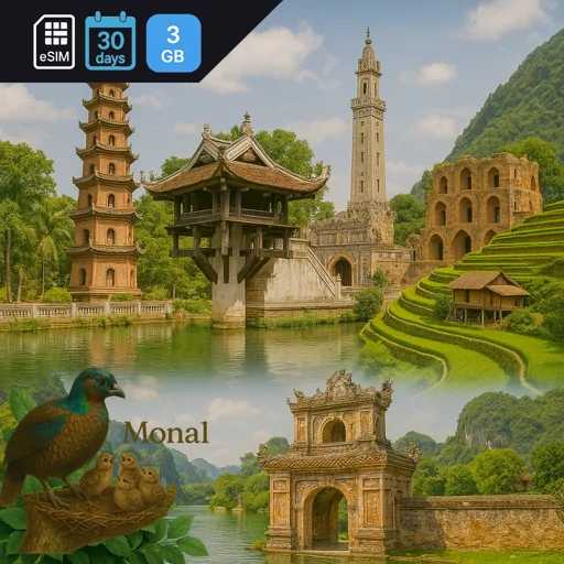 Vietnam 3GB 30Days
