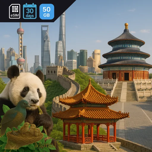 China 50GB 30Days