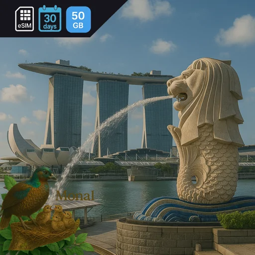 Singapore 50GB 30Days