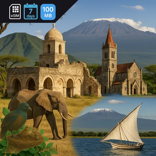 Tanzania 100MB 7Days