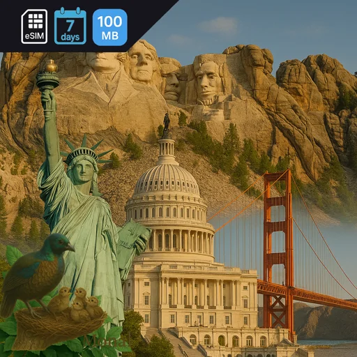 United States 100MB 7Days