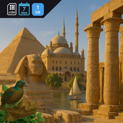 Egypt 1GB 7Days