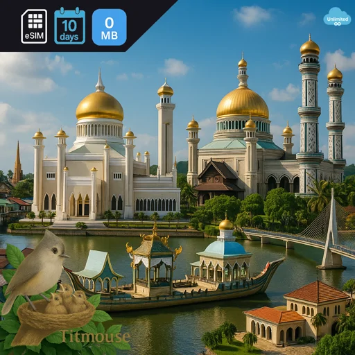Brunei - Unlimited - 10 days
