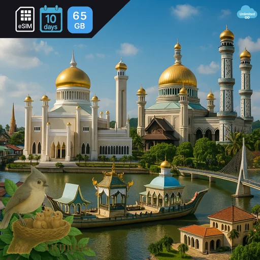 Brunei - Unlimited - 10 days