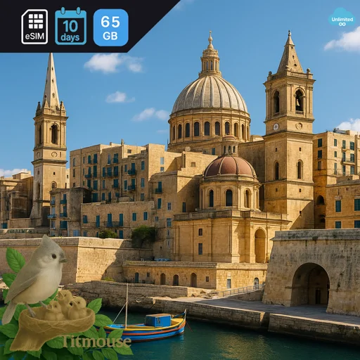 Mayotte - Unlimited - 10 Days