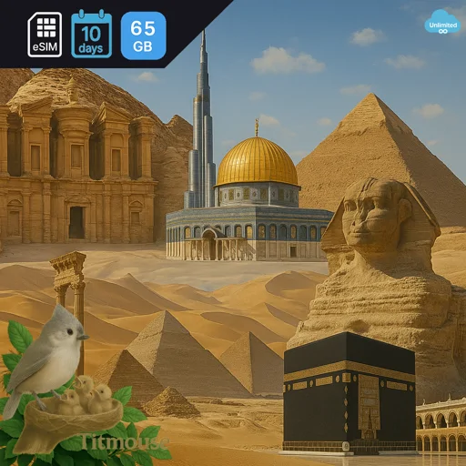 Middle East and North Africa - Unlimited - 10 days