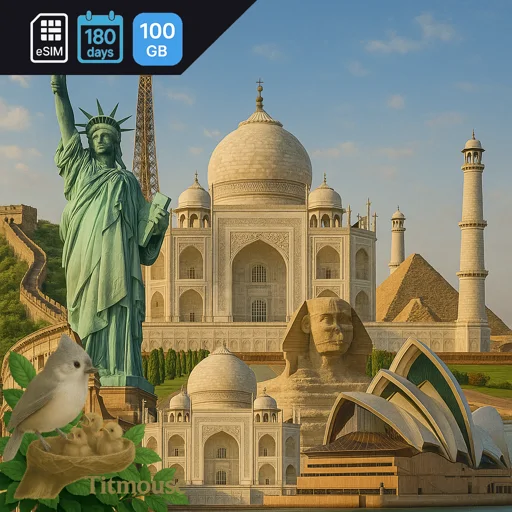 Asia - 100 GB - 180 days