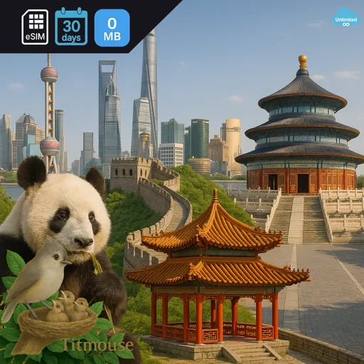 China - Unlimited - 30 Days