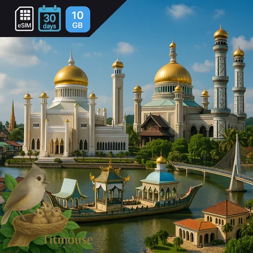 Brunei - 10 GB - 30 days