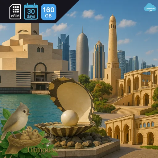 Qatar - Unlimited - 30 Days