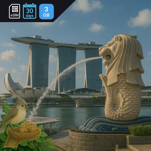 Singapore - 3 GB - 30 days