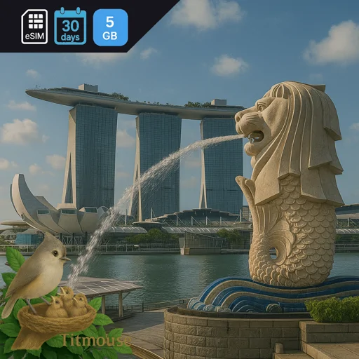 Singapore - 5 GB - 30 days