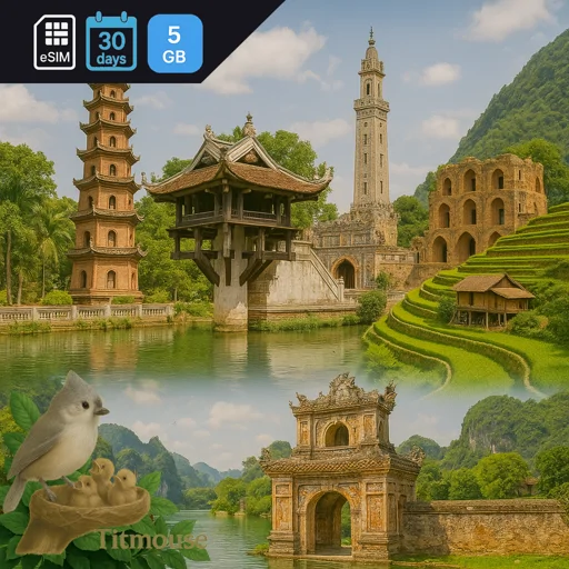 Vietnam - 5 GB - 30 Days
