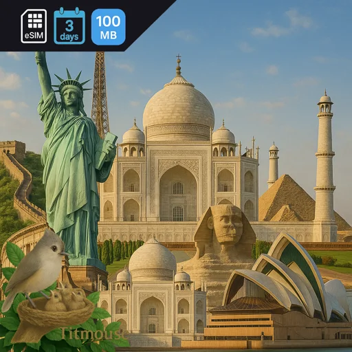 Discover Global - 100 MB - 3 days