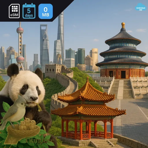 China - Unlimited - 5 Days