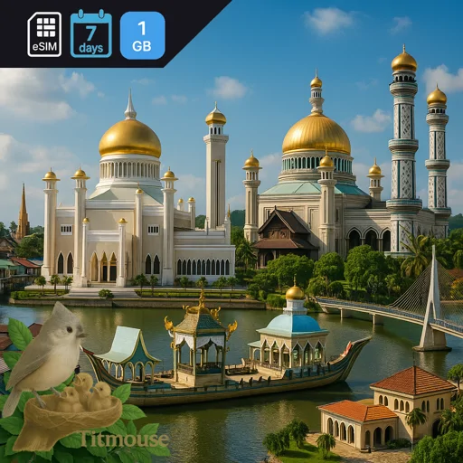 Brunei - 1 GB - 7 Days