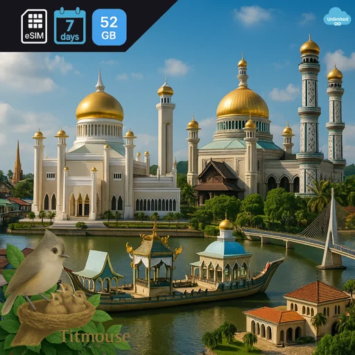 Brunei - Unlimited - 7 days