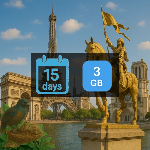 France 3GB 15Days