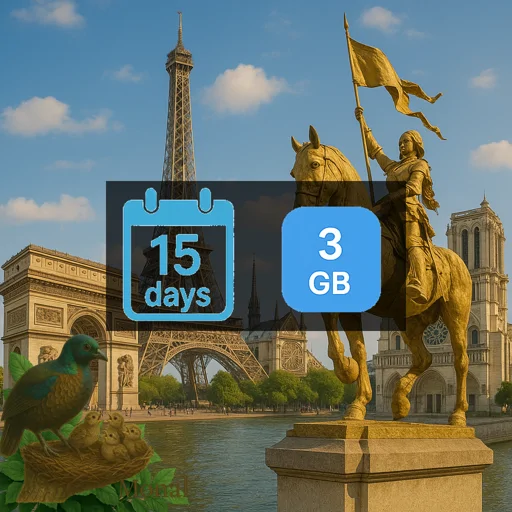France 3GB 15Days