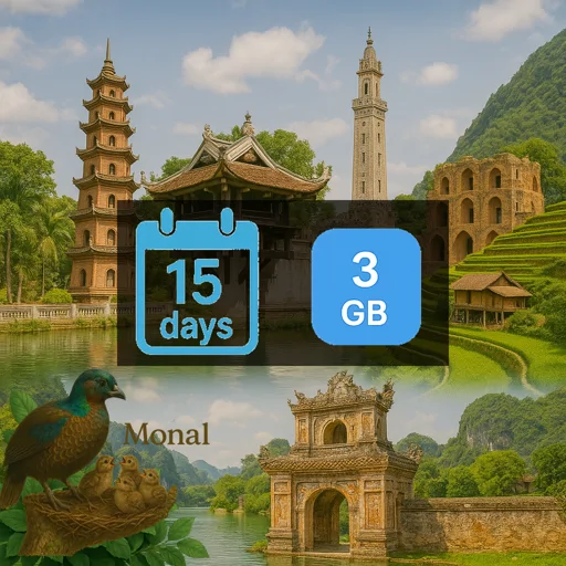 Vietnam 3GB 15Days