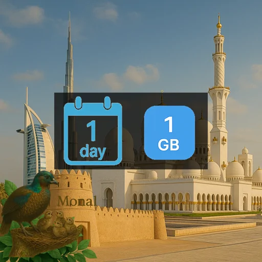 United Arab Emirates 1GB/Day FUP1Mbps