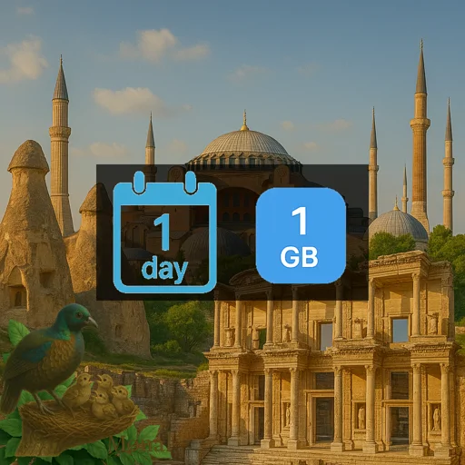 Turkey 1GB/Day FUP1Mbps