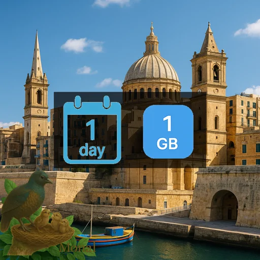 Mayotte 1GB/Day FUP1Mbps Unlimited