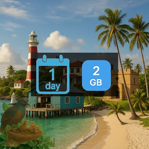 Democratic Republic of the Congo 2GB/Day