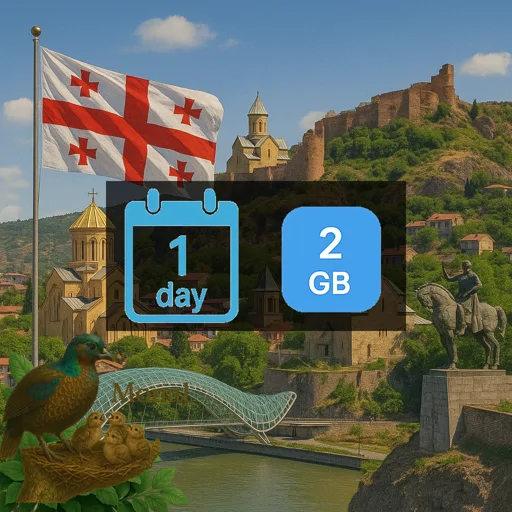 Georgia 2GB/Day