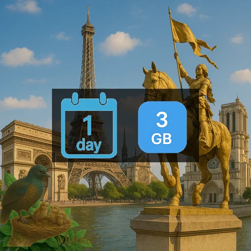 France 3GB/Day FUP1Mbps Unlimited