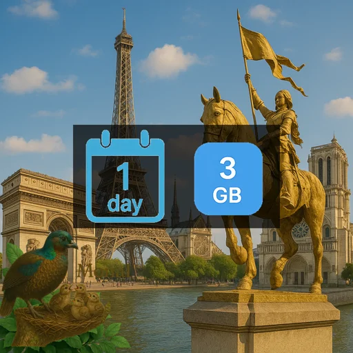 France 3GB/Day