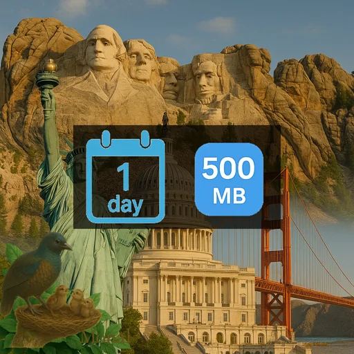 United States 500MB/Day (USIP) Unlimited