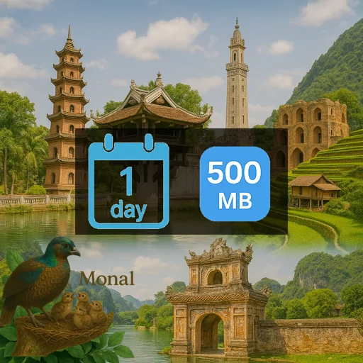 Vietnam 500MB/Day (nonhkip)