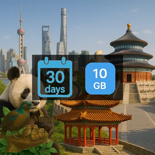 China 10GB 30Days