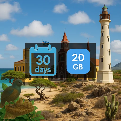 Aruba 20GB 30Days